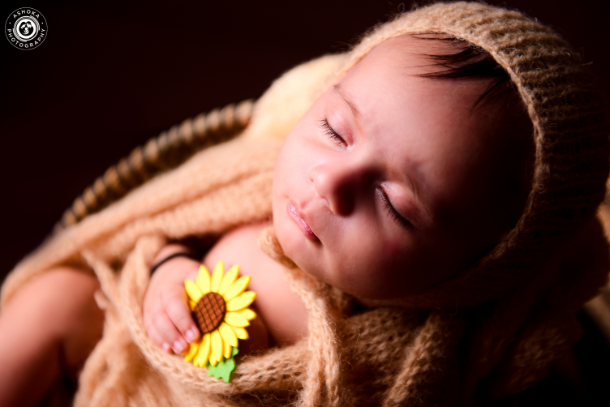 The Bohemian Slumber